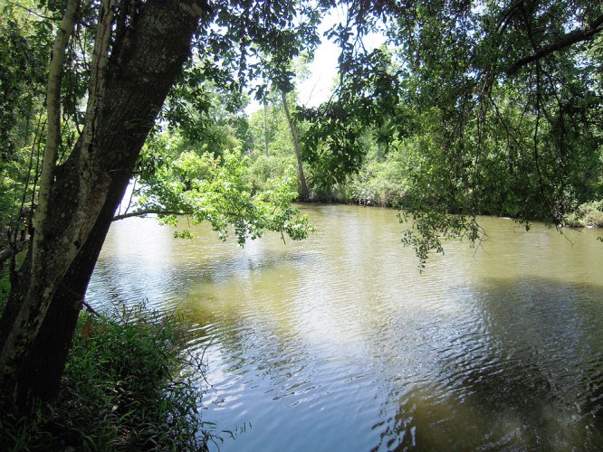 Kingwood Parks Kingwood