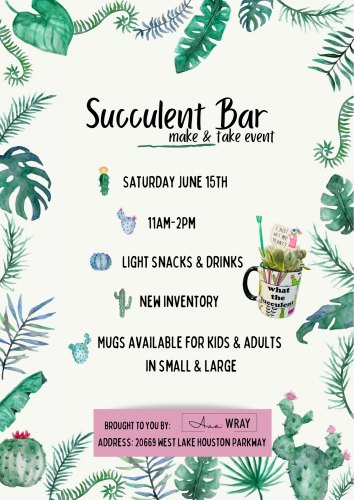 Succulent Bar {make and take} Event at Ava Wray