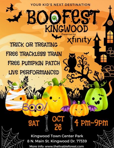 Boofest Kingwood at Kingwood Town Center Park
