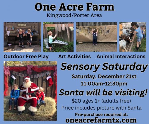 Sensory Saturday Art & Play with Santa