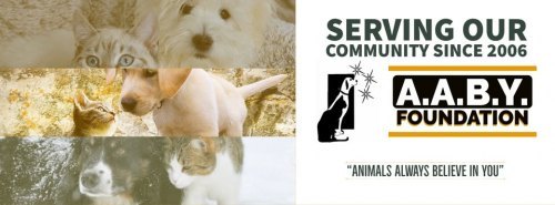 AABY's Foundation's Low Cost Vaccinations Clinic