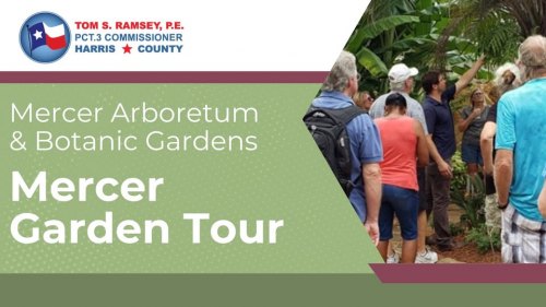Mercer Garden Tour at Mercer Arboretum