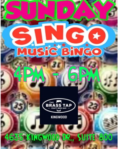 Sunday Funday Singo Music Bingo at The Brass Tap