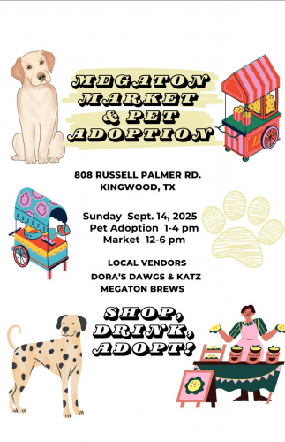 Megaton Market & Pet Adoption