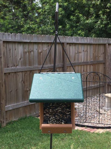 Where Are The Birds at Wild Birds Unlimited