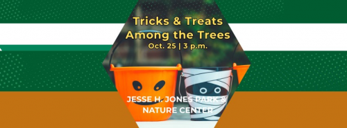Trick and Treats Among the Trees at Jesse Jones Park