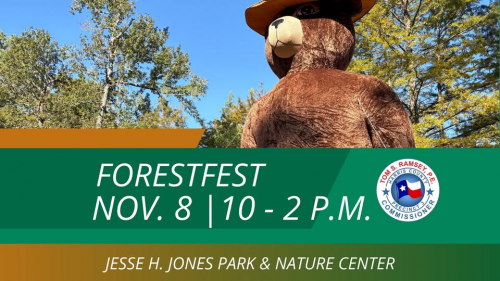 Forest Fest at Jesse Jones Park