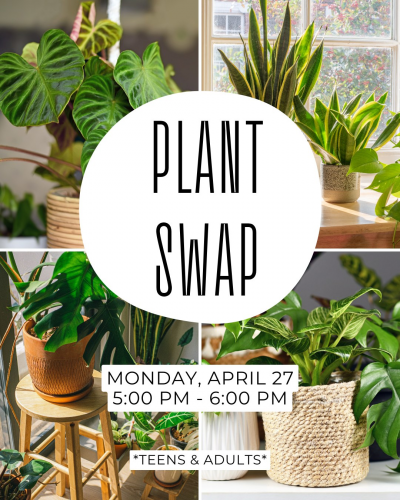 Kingwood Library - Plant Swap