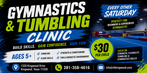 Aerial & Tumbling Clinic