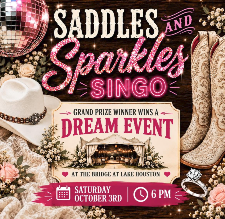 Saddles and Sparkles SINGO