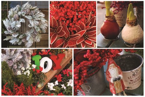 A Very Merry Christmas Open House