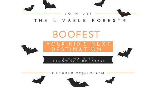 Boo Fest - Halloween Festival