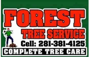 Forest Tree Service LLC