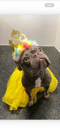 Profile photo