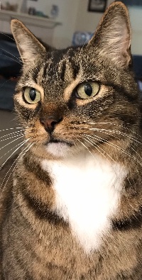 Profile photo