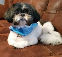 Profile photo