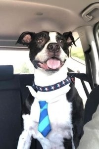 Profile photo