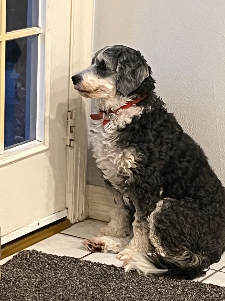 Profile photo