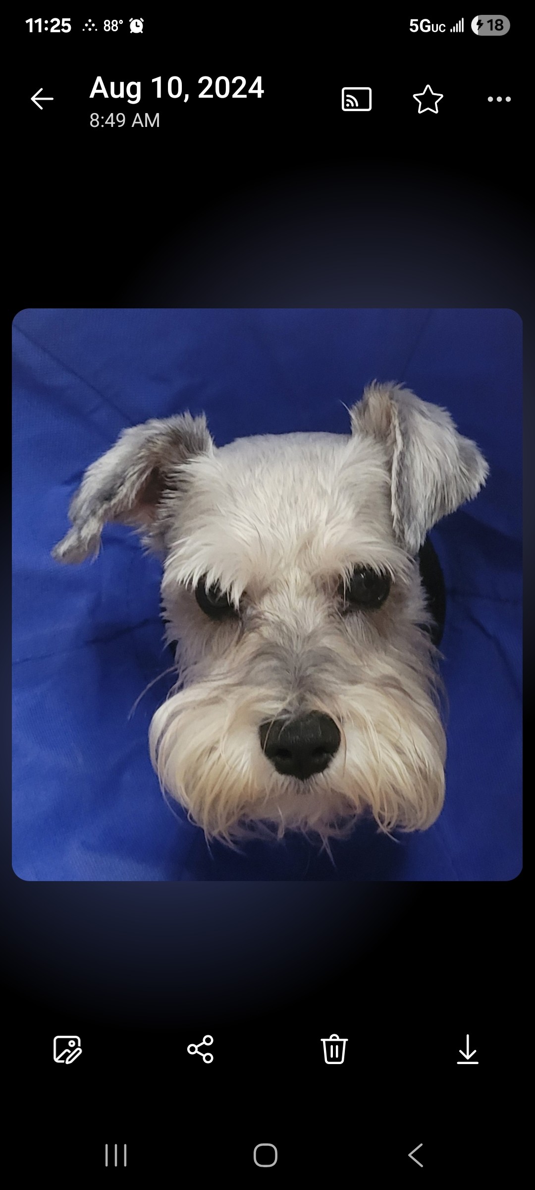 Profile photo