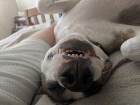 Profile photo