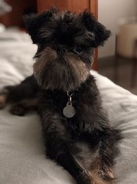 Profile photo