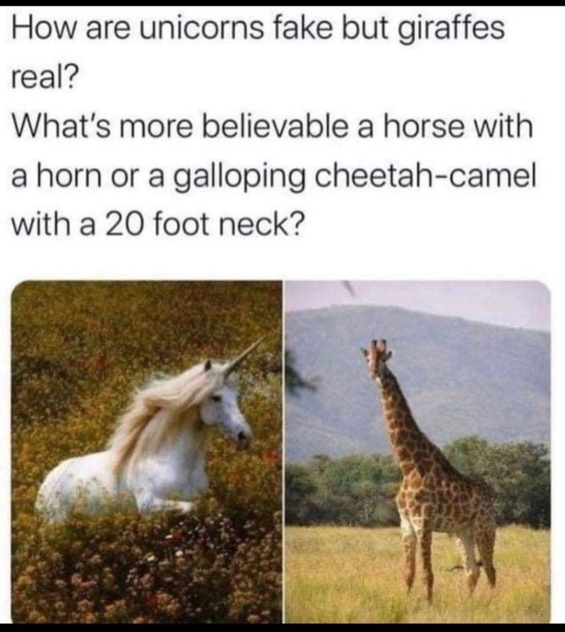 How are unicorns fake but giraffes real...