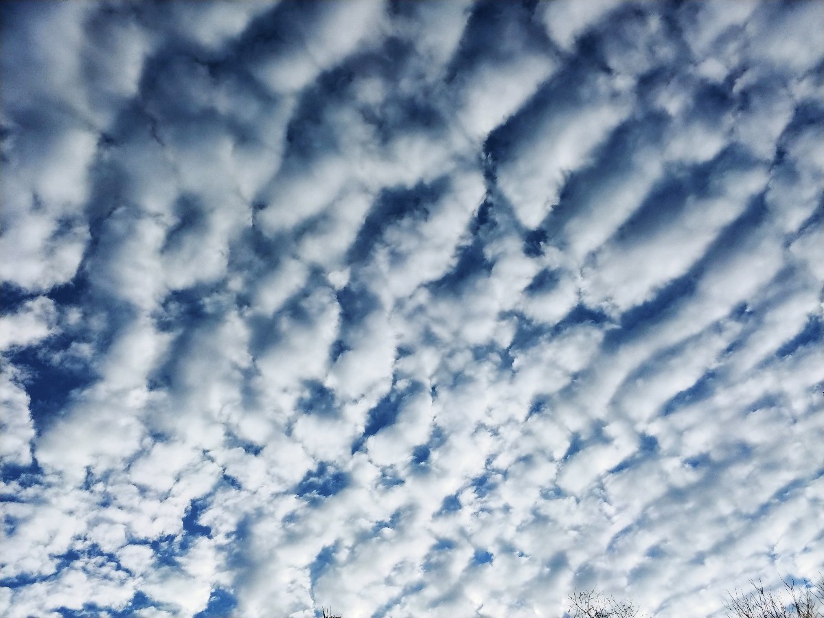 Mackerel sky this morning.