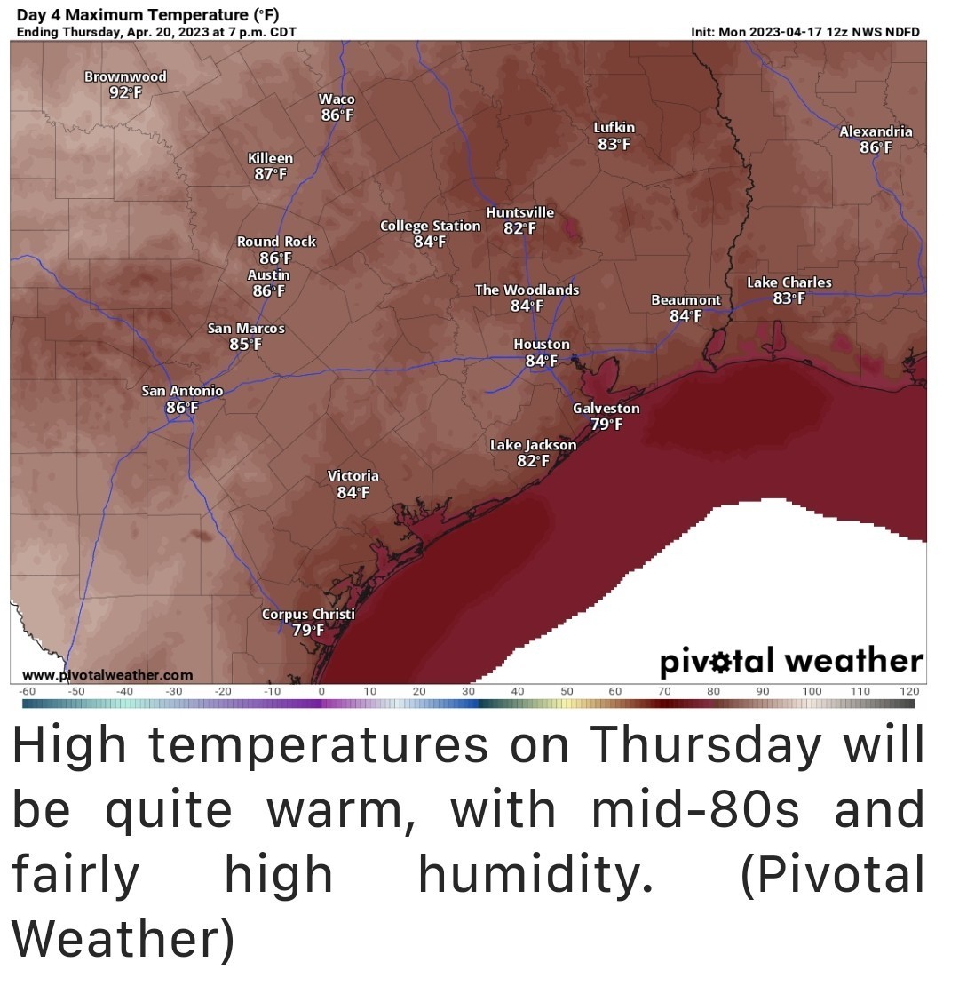 This week's forecast