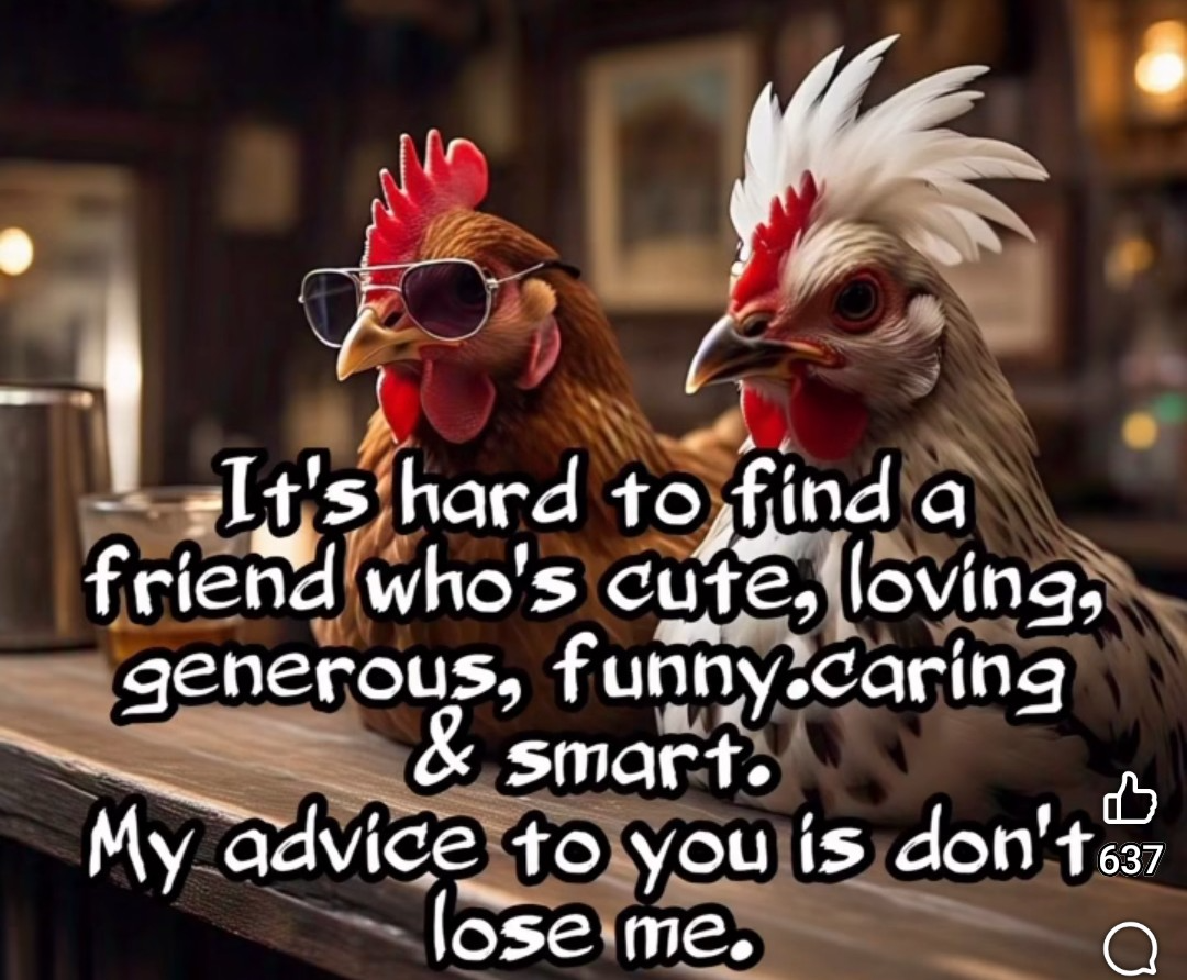 Friday Funnies