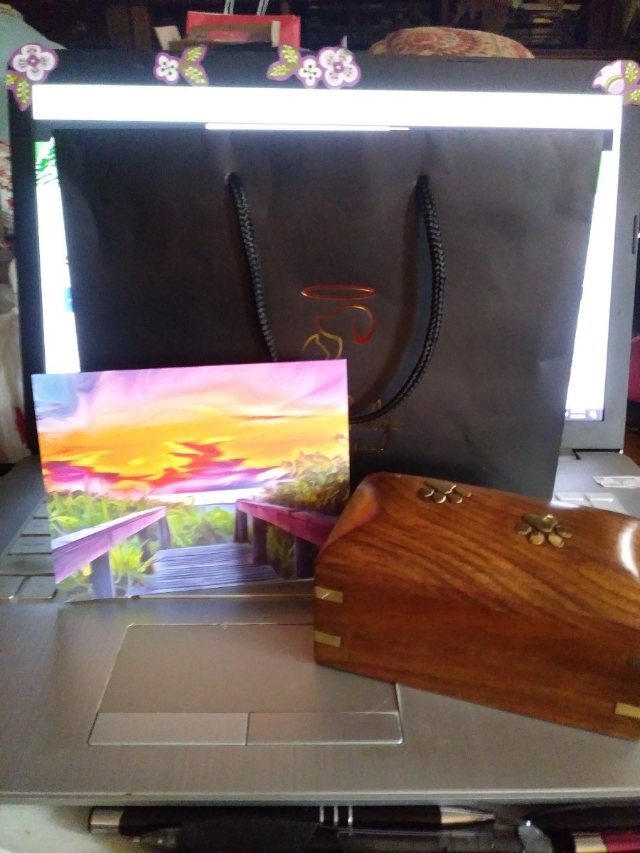 Picked up my dogs ashes