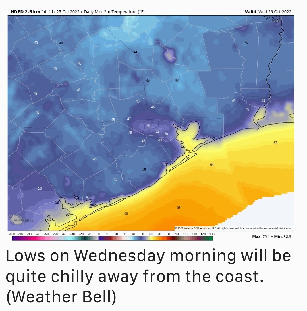 This week's forecast