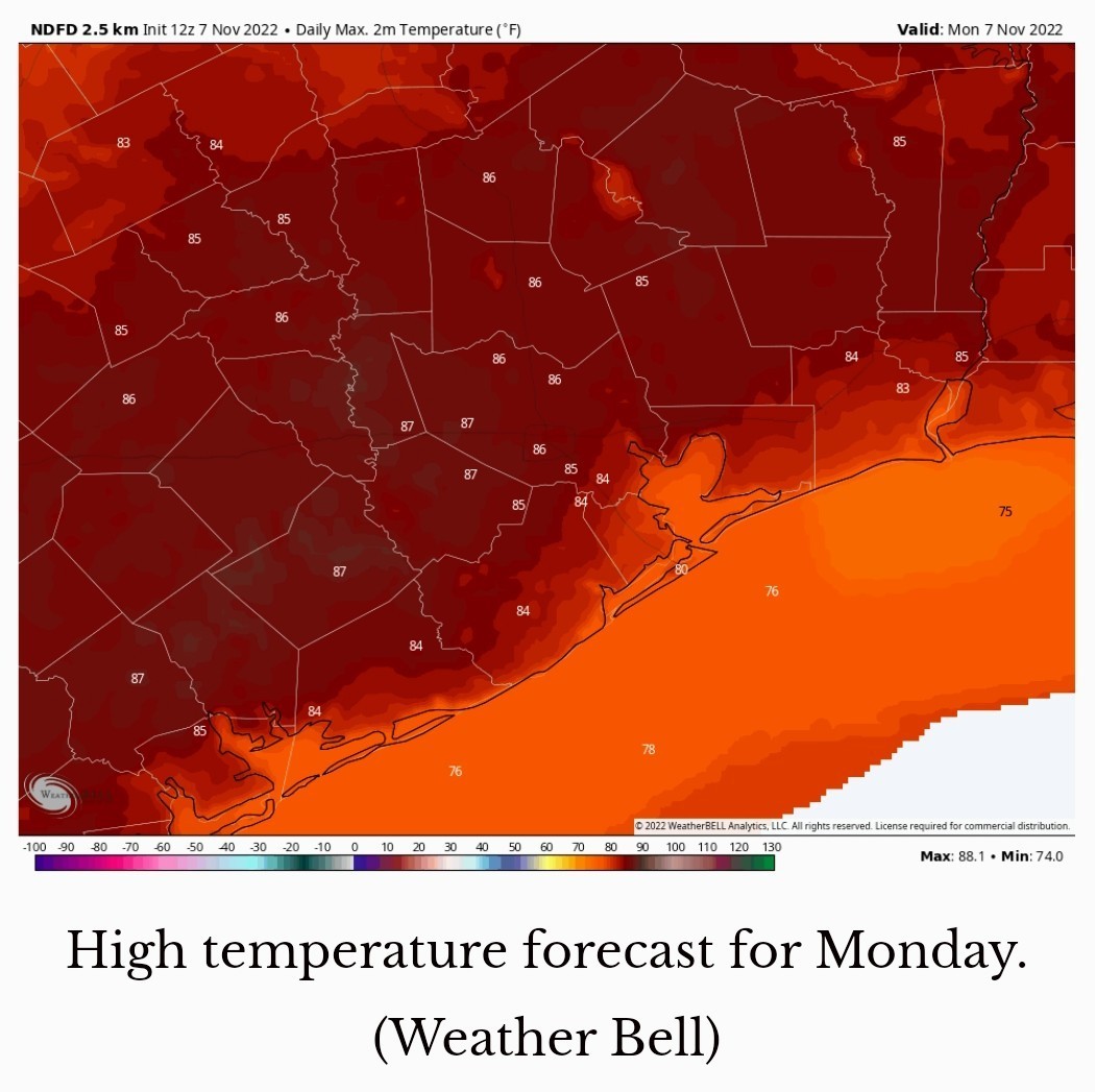 This week's forecast