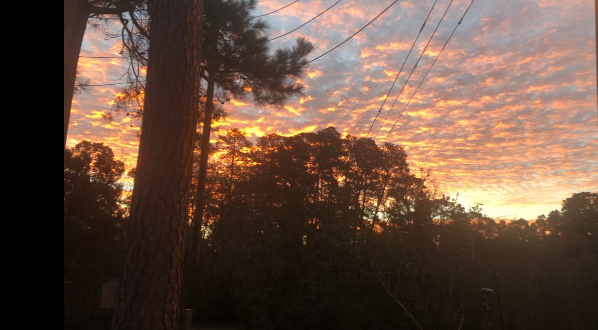 Mackerel sky this morning.