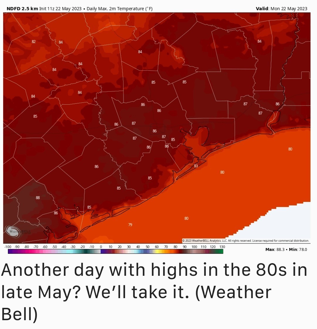 This week's forecast