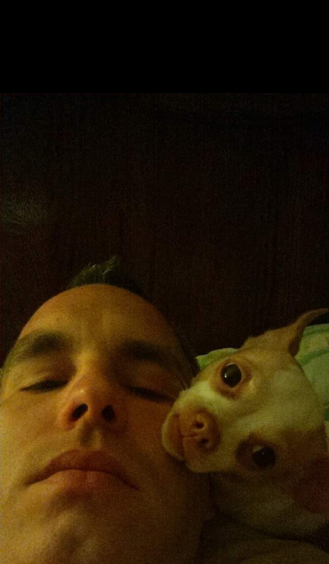 Calli visits the Rainbow Bridge tomorrow