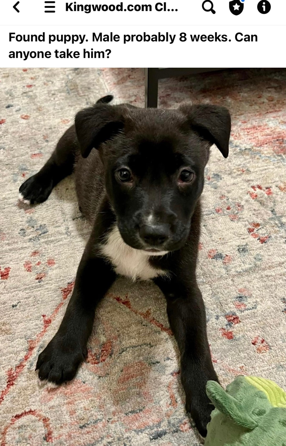 From Classifieds Group Buy and Sell