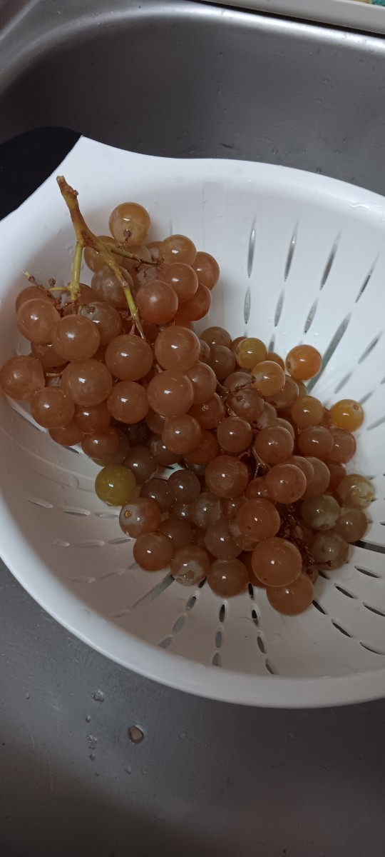 Grapes