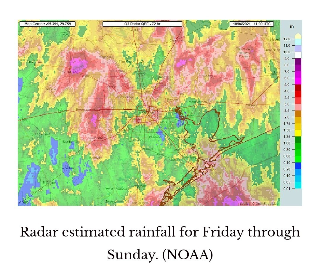 This week's forecast
