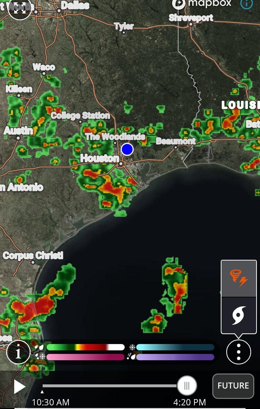 This week's forecast