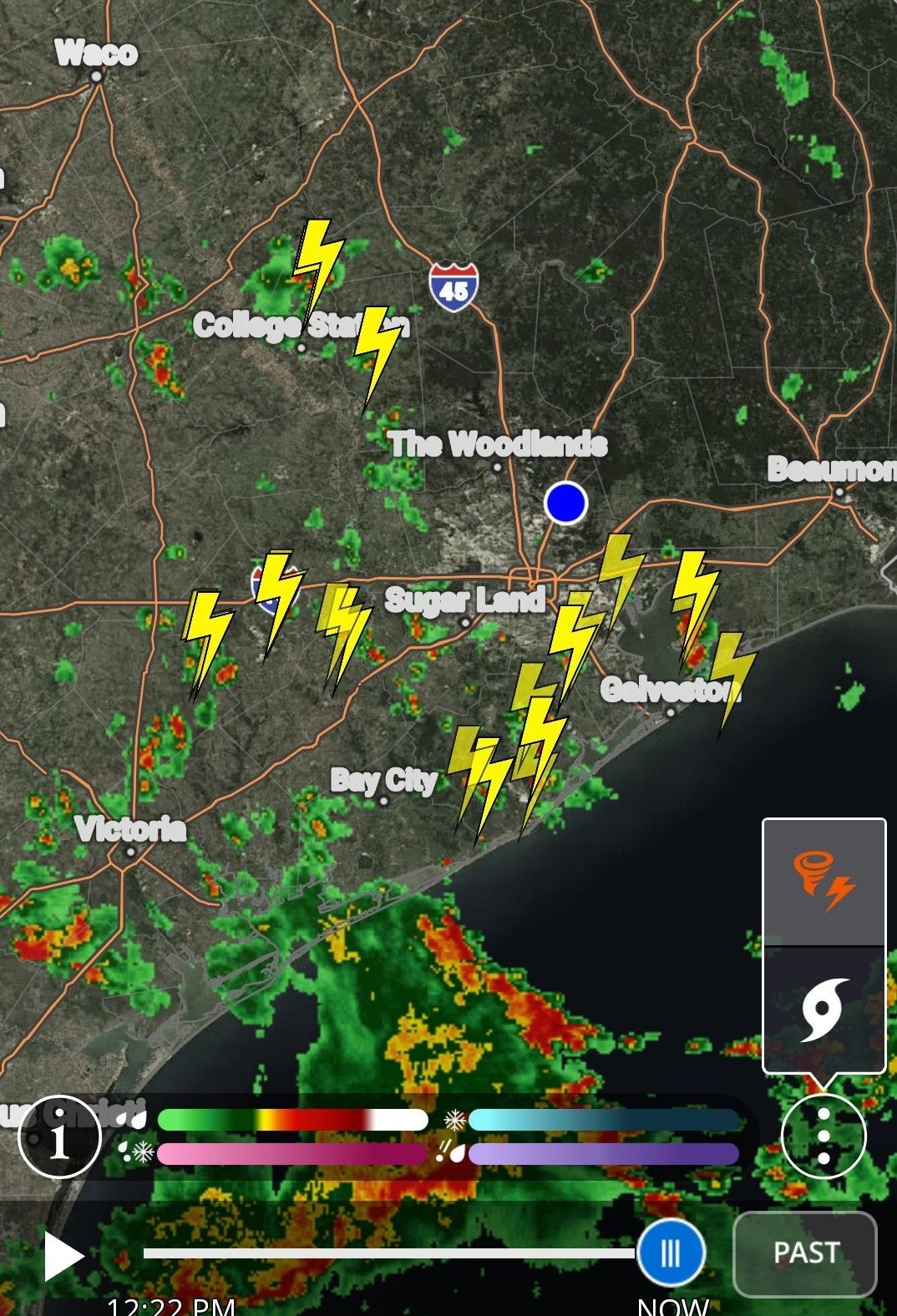 This week's forecast