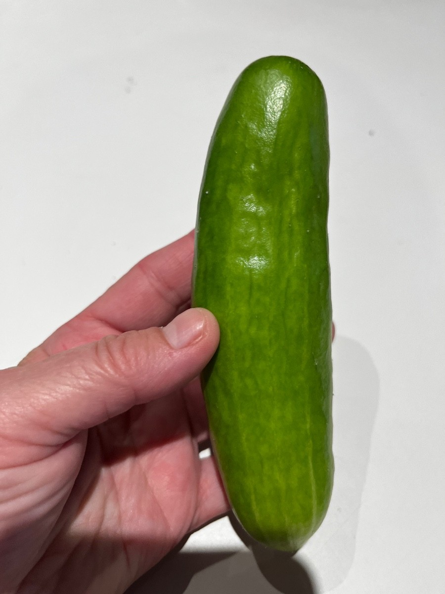 Here's my first cucumber finally ! The ants tried to eat the pla